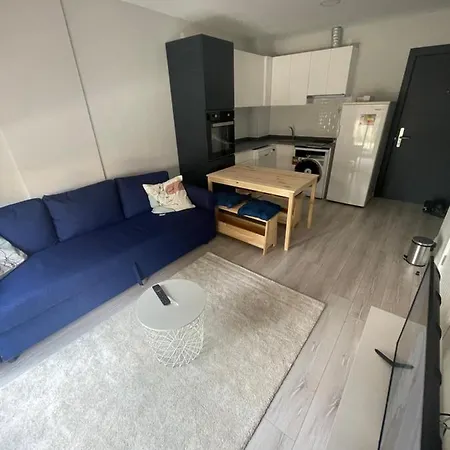 Apartment Flat For Rent 5 Minute From Airport